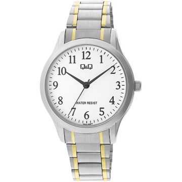 Мъжки аналогов часовник Q&Q - C02A-005PY