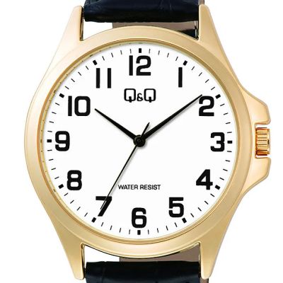 Мъжки часовник Q&Q - C36A-009PY