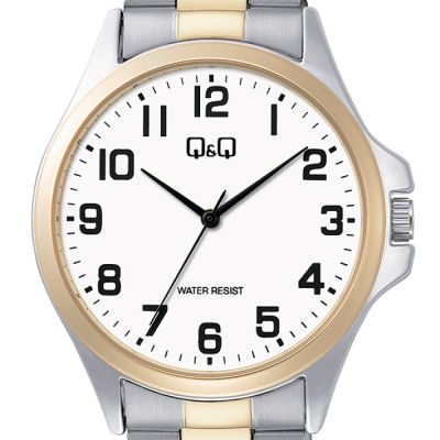Мъжки аналогов часовник Q&Q - C36A-017PY